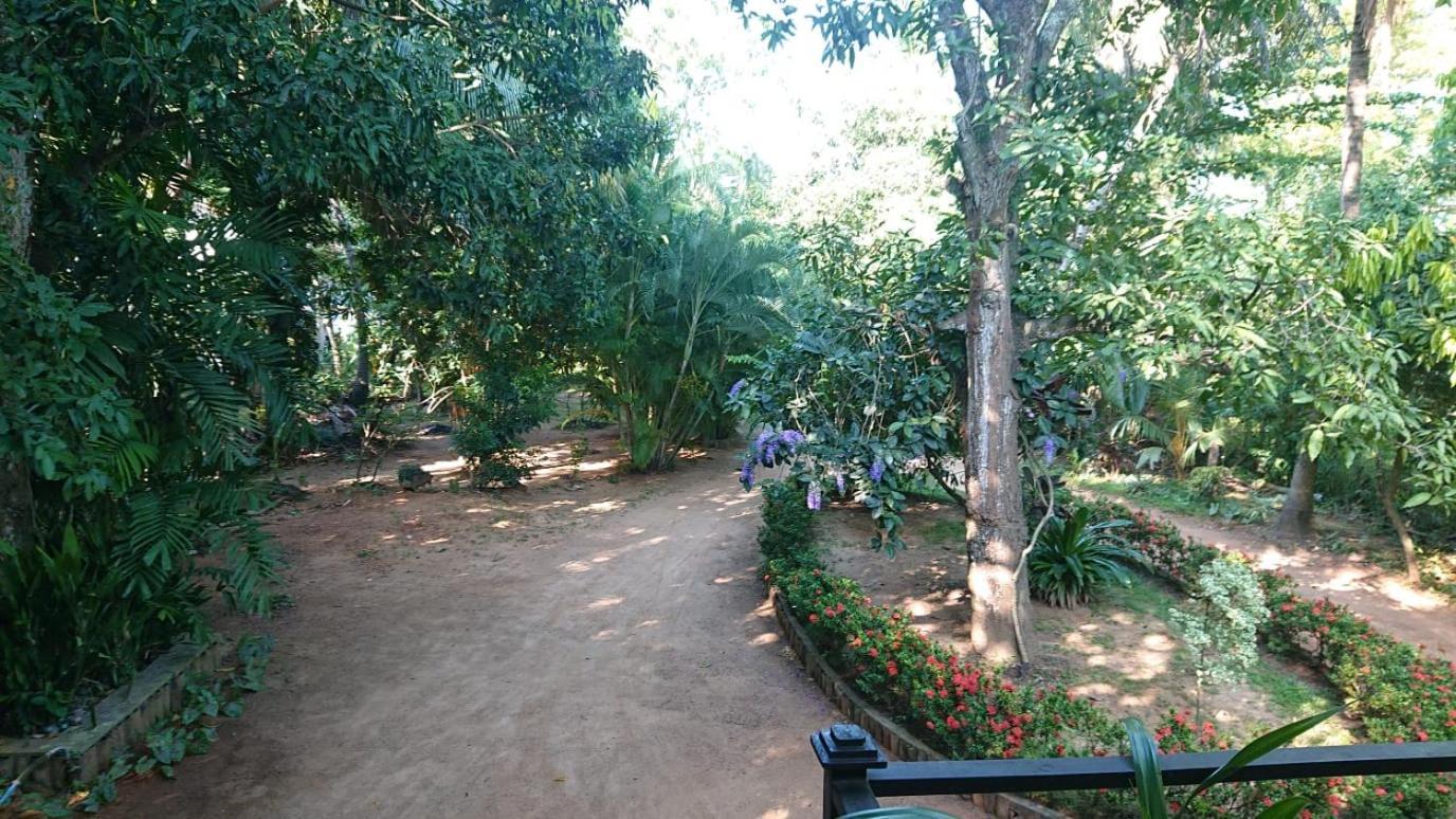 Leopard City Hostel Yala Tissamaharama Εξωτερικό φωτογραφία