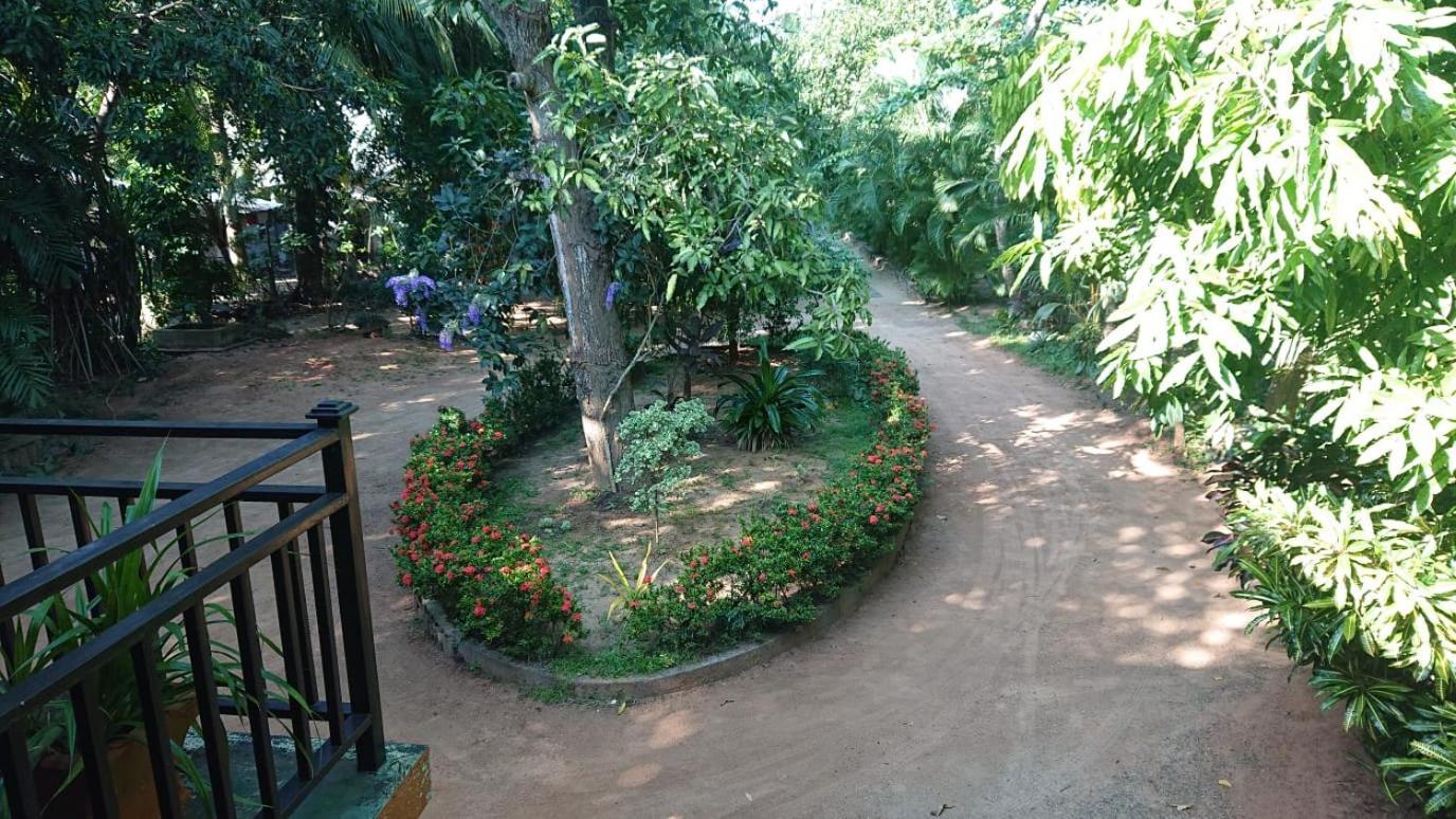 Leopard City Hostel Yala Tissamaharama Εξωτερικό φωτογραφία